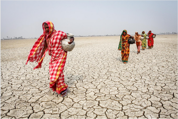 Graphic marking UN Desertification and Drought Day 2020 and the WEA's UNCCD accreditation