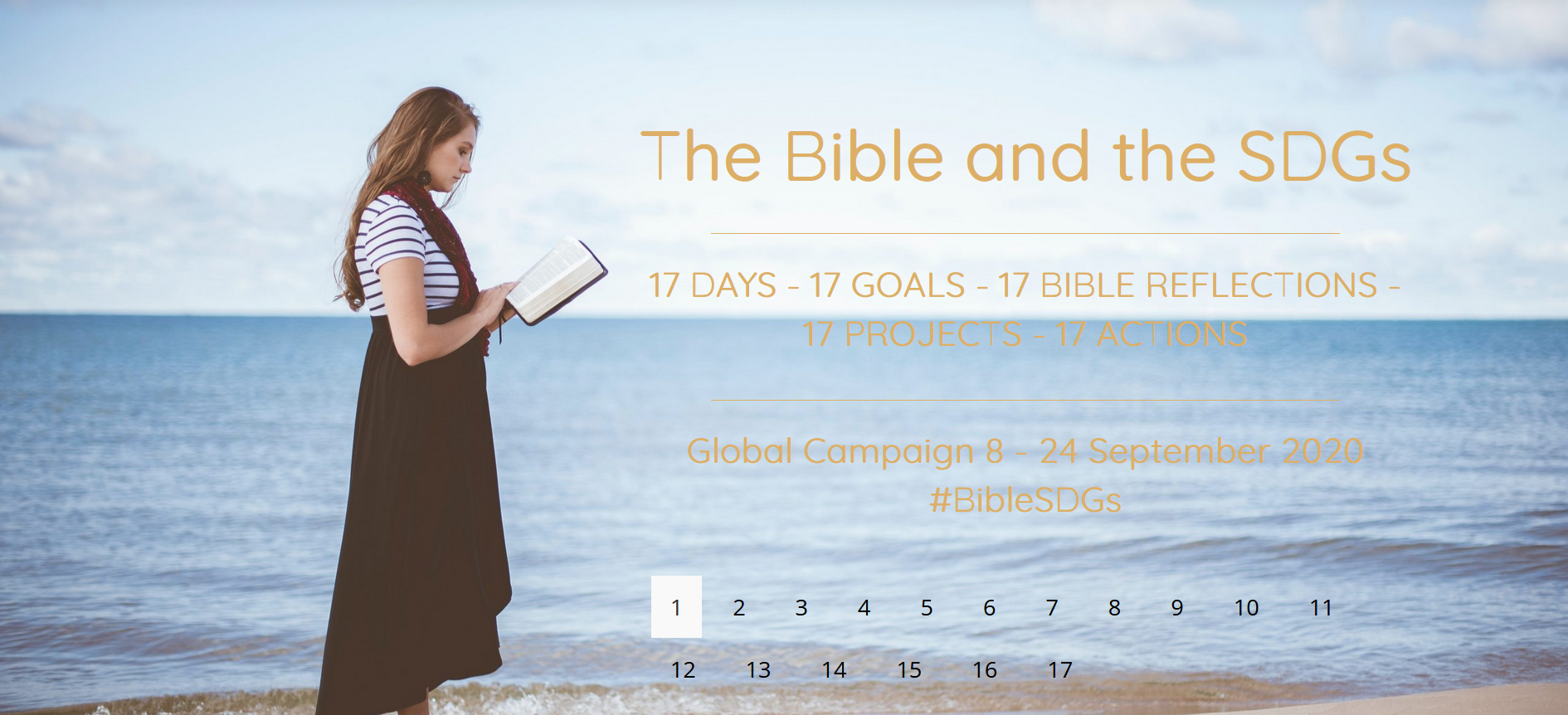 Promotional graphic for the concluding webinar of The Bible and the SDGs campaign
