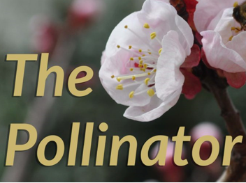 Illustration for a Pollinator editorial on the theme Water is Life
