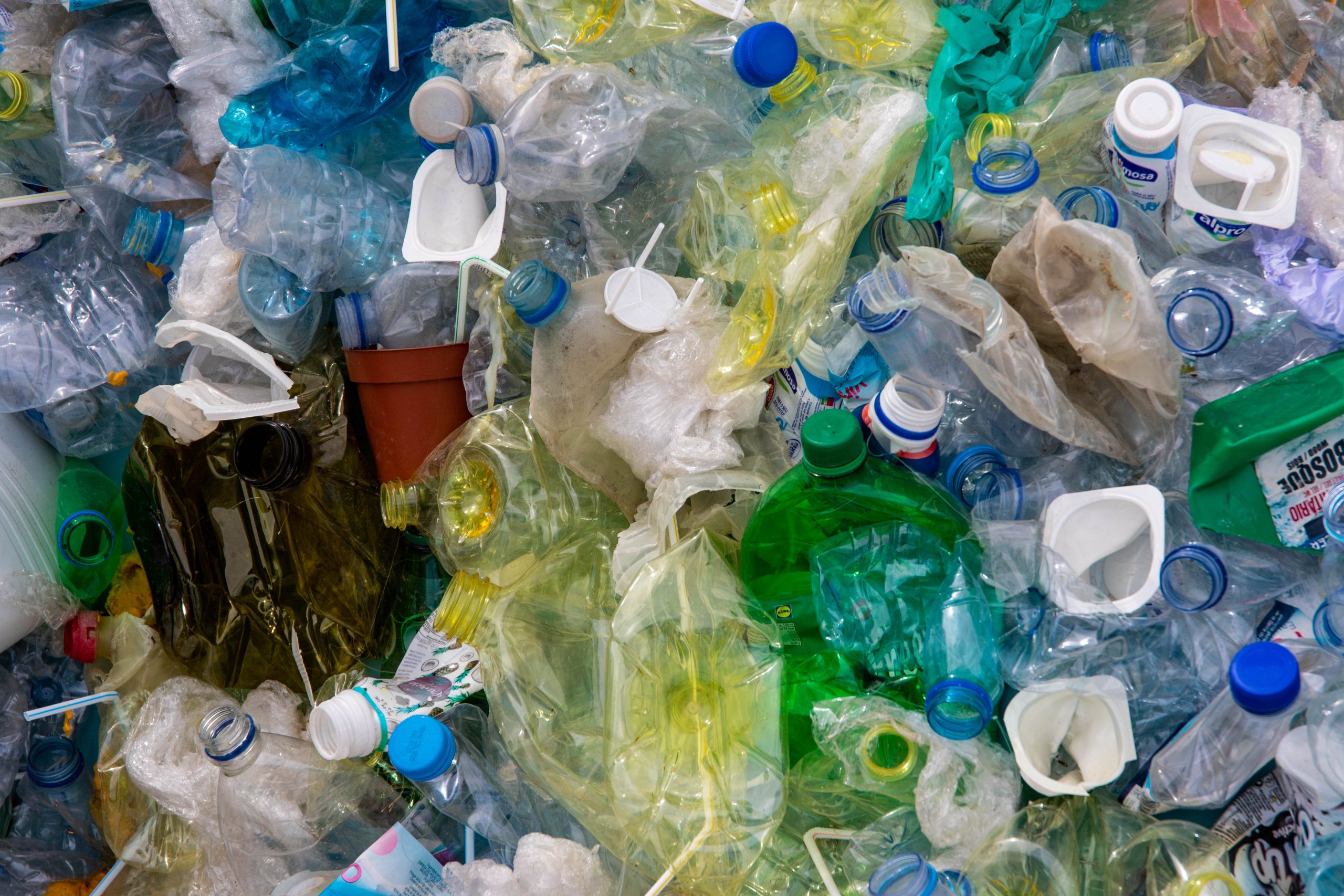 Plastic pollution washed up along a shoreline, illustrating the global plastics crisis