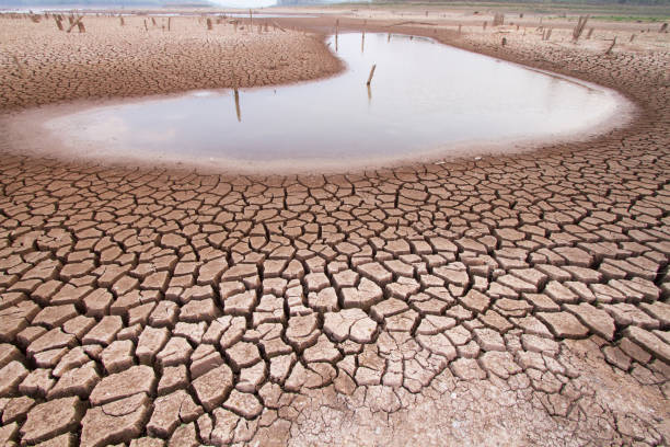 Cracked, drought-stricken earth surrounding a shrinking pool of water, illustrating the global water crisis