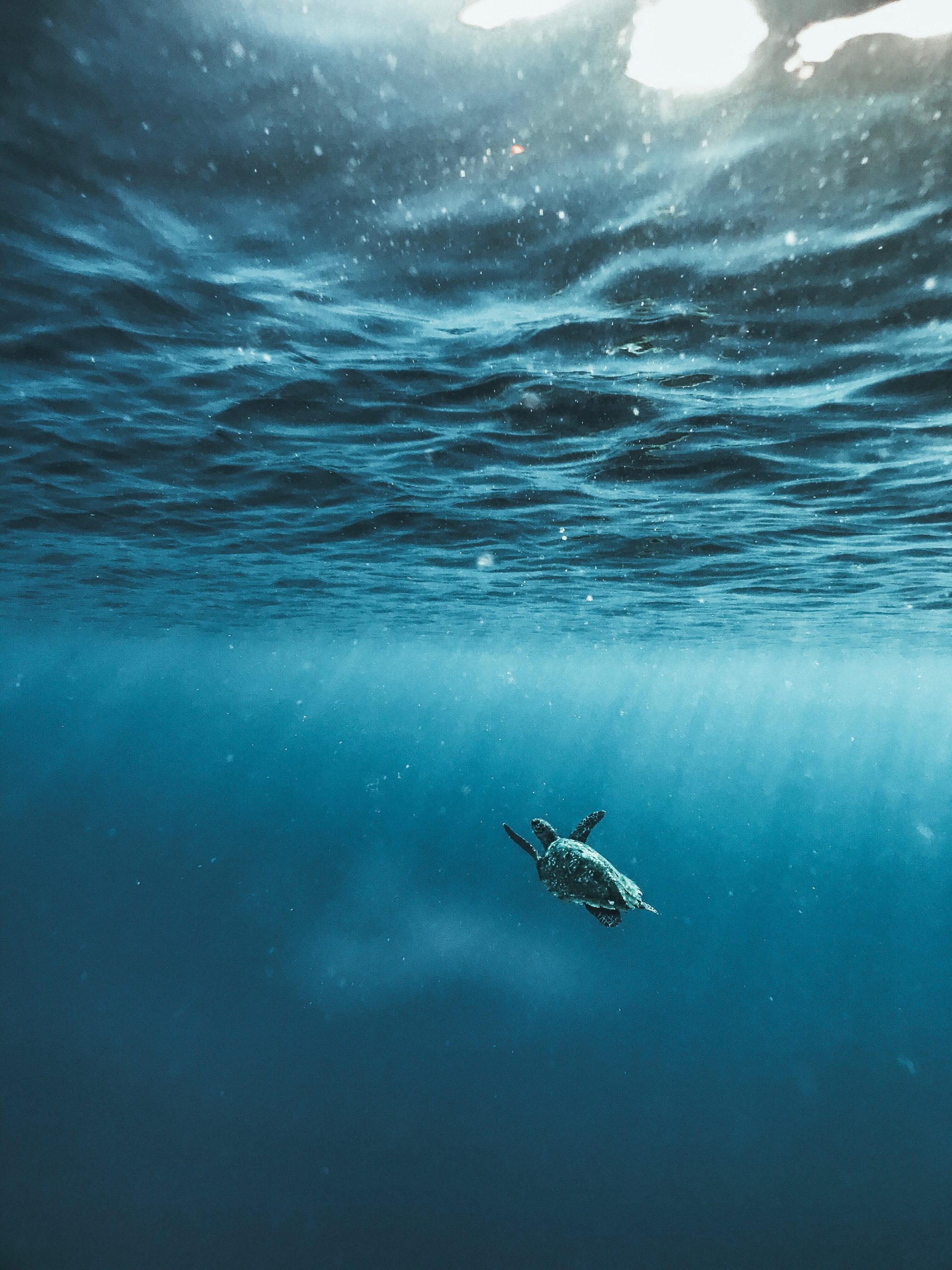 Open ocean water viewed from above, representing the high seas biodiversity treaty