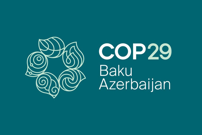COP29 logo